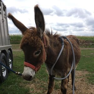 Meet your Posher, Sue